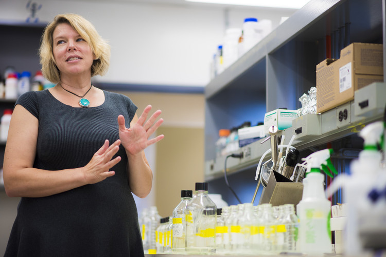 Microbiologist Lisa Stein is developing a bacteria with the potential to close the loop on Alberta's legacy energy system. Photo credit: John Ulan.