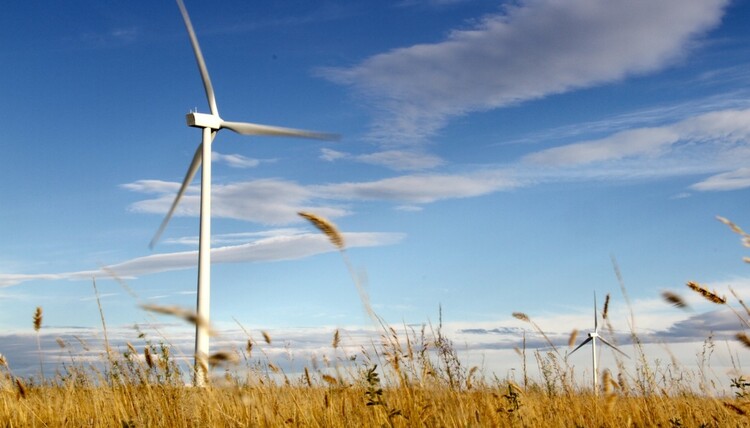 The Box Springs Wind Farm in Medicine Hat, Alta., is one of five case studies U of A researchers compiled to show how renewable energy projects can benefit rural communities in Canada. (Photo: Green Energy Futures)