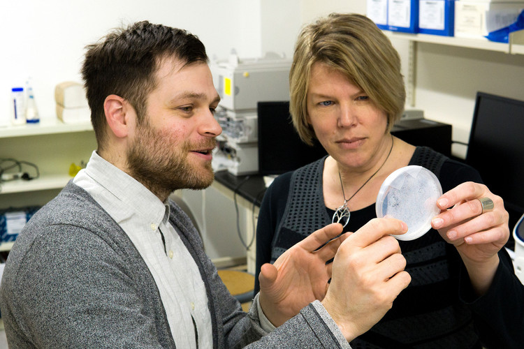 Future Energy Systems investigators Dominic Sauvageau and Lisa Stein.