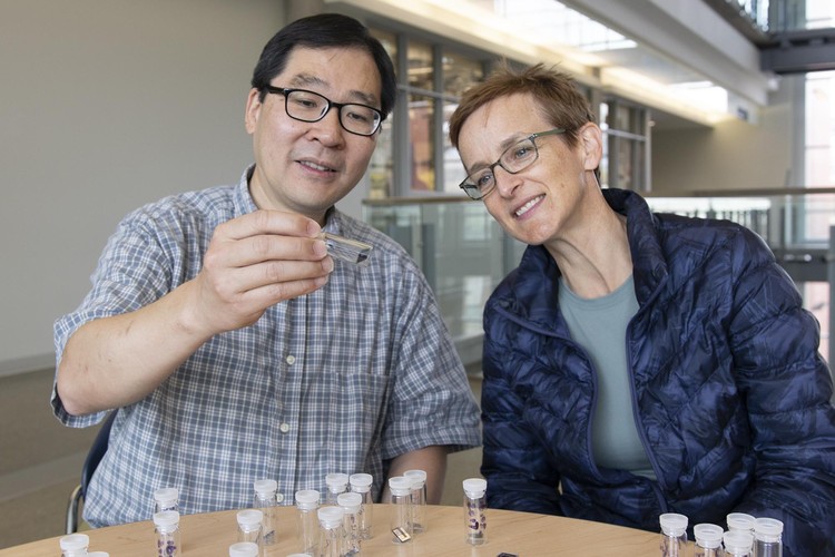 Future Energy Systems Investigators Arthur Mar and Jillian Buriak with sample solar cells.