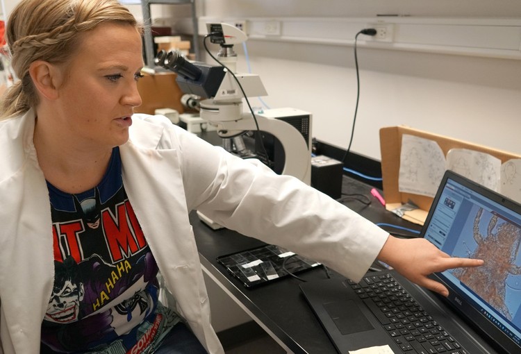 Future Energy Systems PhD Candidate Stephanie Chute-Ibsen at work in the lab identifying invertebrates.