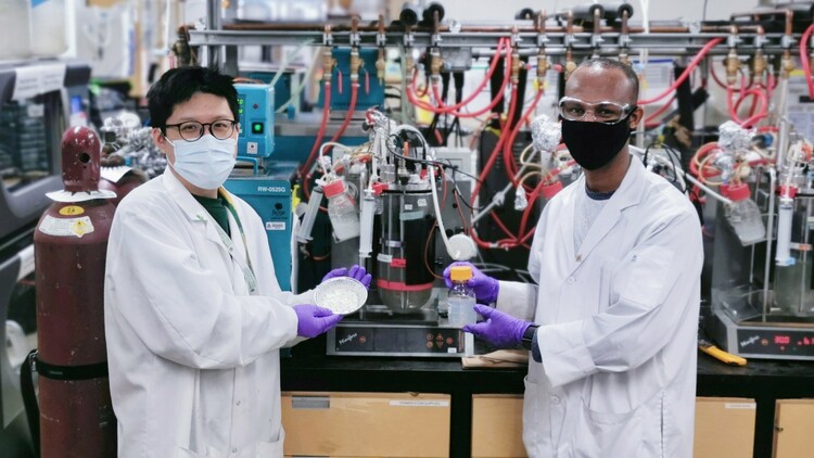 Researchers Ronny Hung (left) and Dagem Haddis hold a tray of wood pulp and a bottle containing a solution of cellulose nanocrystals produced through a new biorefining process developed at the U of A. (Photo: Bingxin Hai)