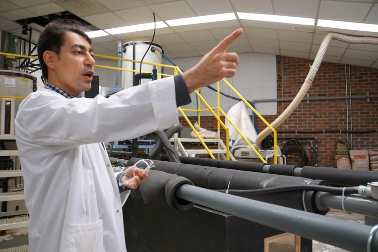 Future Energy Systems HQP Mahdi Vaezi is working on a way to transport biomass through pipelines in a way that is economically and environmentally sound. In his one-of-a-kind lab, he has designed and built a pipeline and determined mixtures to ship plant