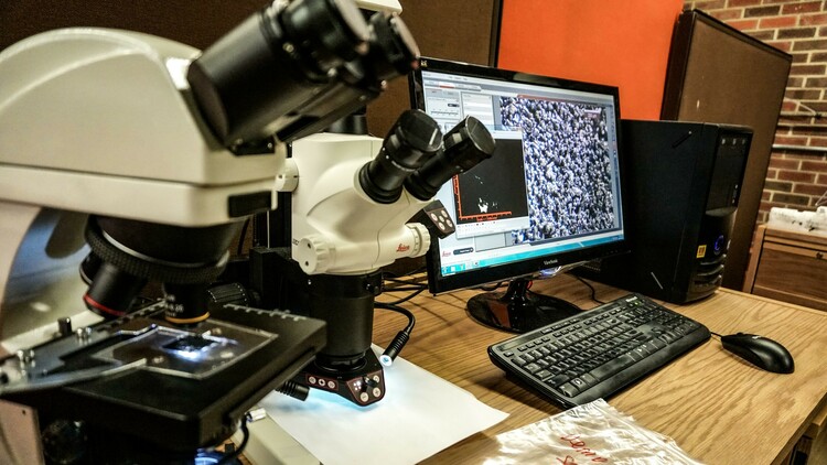 Work in the Secanell lab on hydrogen electrolysis relies on both the experimental - physical testing of electrolyzers - and the numerical - modeling of the processes at play.