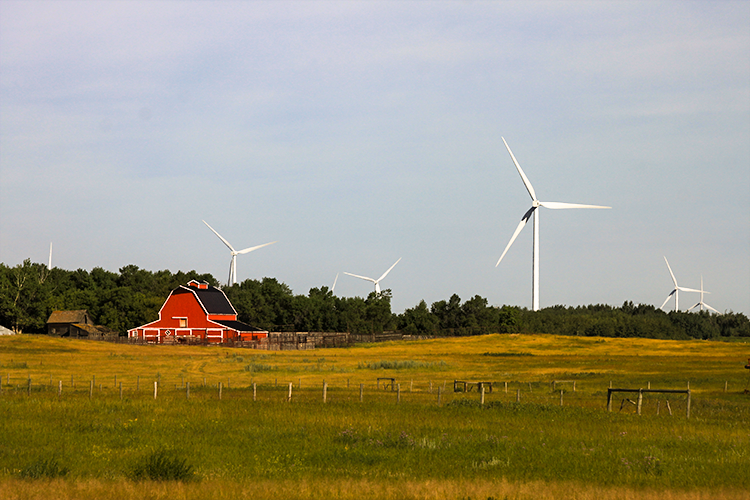 Ensuring smooth sailing for wind power in rural Alberta will take cooperation and communication with landowners, not winding up for a fight. (Photo credit: Aleksandra Afanasyeva)