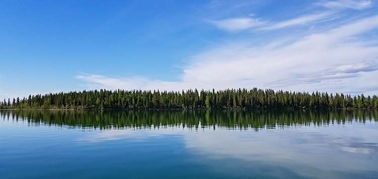 Landscape in the Tłı̨chǫ region.