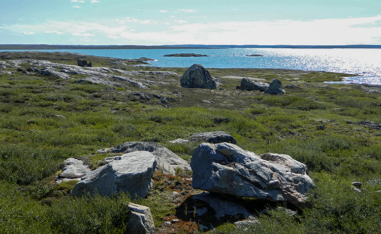 A landscape in the Northwest Territories 