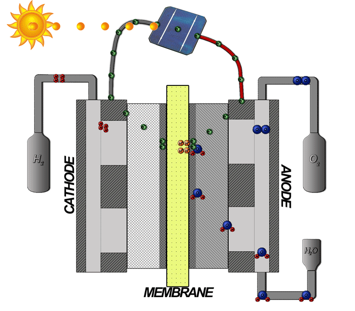 An electrolyzer cell with proton and electron flow